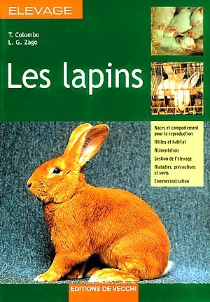 livre-lapin-11