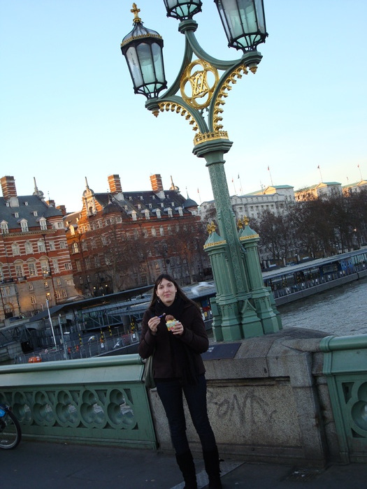 DSC06576 - LONDON EYE