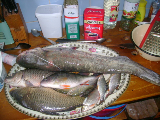 DSC06741 - la pescuit pe hanesti