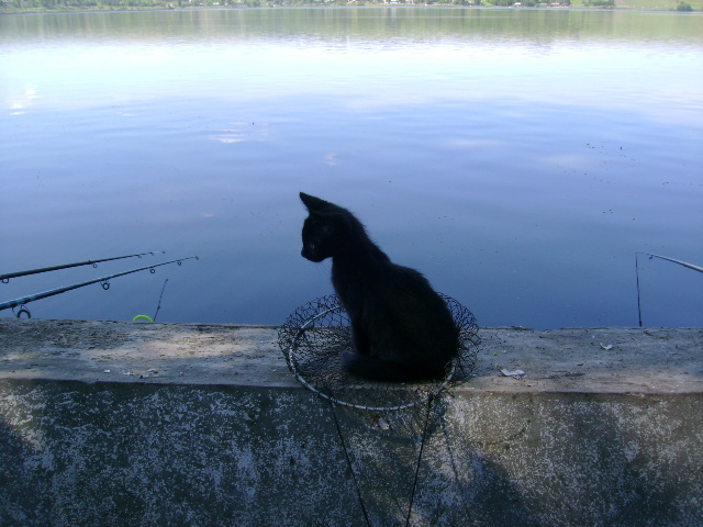 Copy of Picture 126 - la pescuit pe hanesti