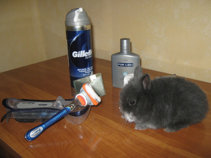 MA PREGATESC PENTRU.........