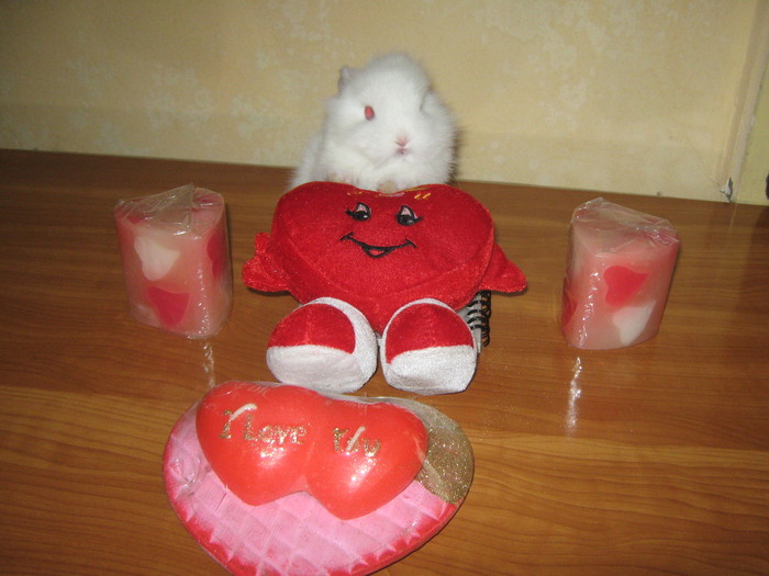 UITE CE AM PREGATIT PENTRU TINE