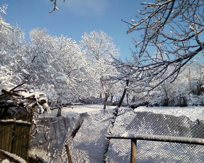 Fotografie-0029 - iarna la tara - 2011