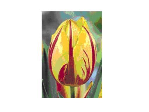 Mickey Mouse bulbi achiz. in toamna lui 2010 de la TB