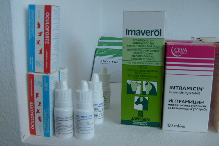  - Farmacia mea