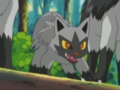 23211155_CXFQMDRMQ - ce pokemon te caracterizeaza