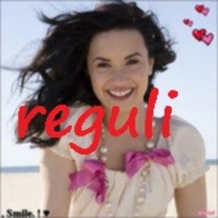 reguli - 00 reguli 00