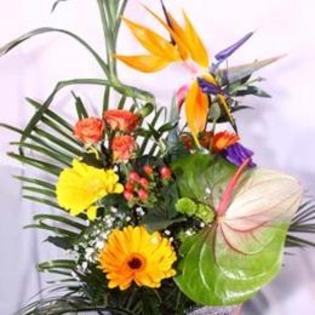 buchet-de-flori-spre-soare-471111_normal - 123 diverse