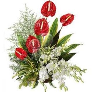 buchet-de-flori-wow-471108_normal - 123 diverse