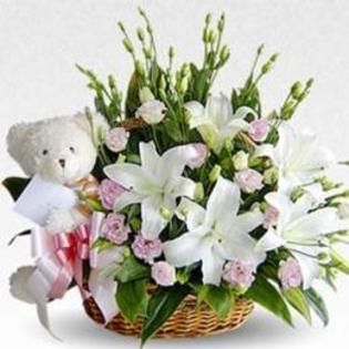 cos-floral-alb-alb-alb-471118_normal - 123 diverse