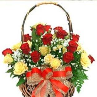 cos-floral-beautiful-471117_normal - 123 diverse