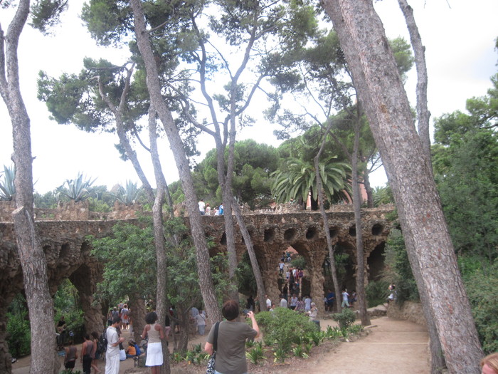 Picture 2108 - Parc Guell