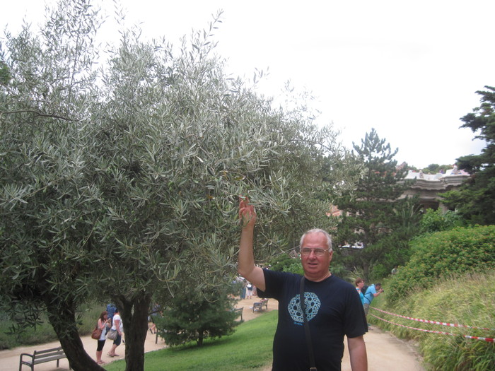 Picture 2116 - Parc Guell