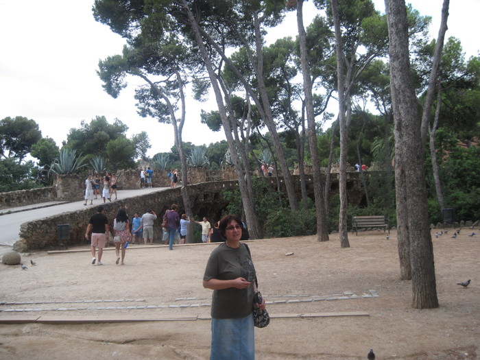 Picture 2105 - Parc Guell