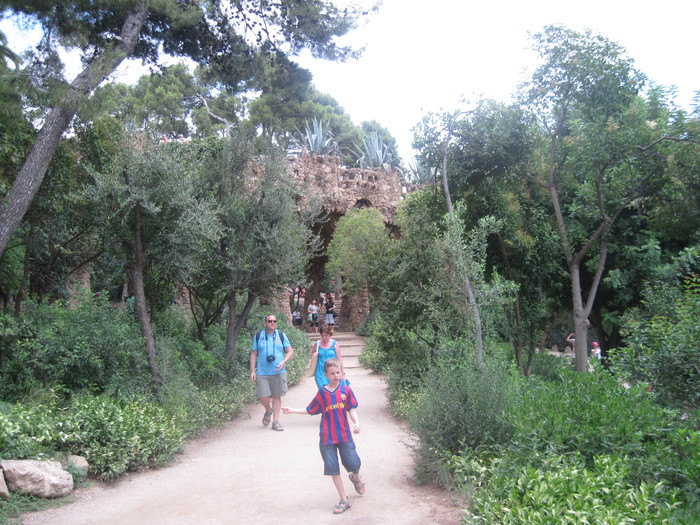 Picture 2114 - Parc Guell