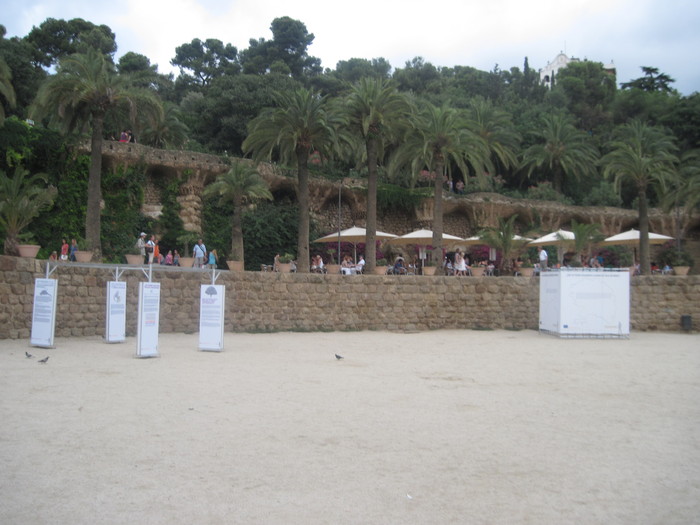 Picture 2139 - Parc Guell