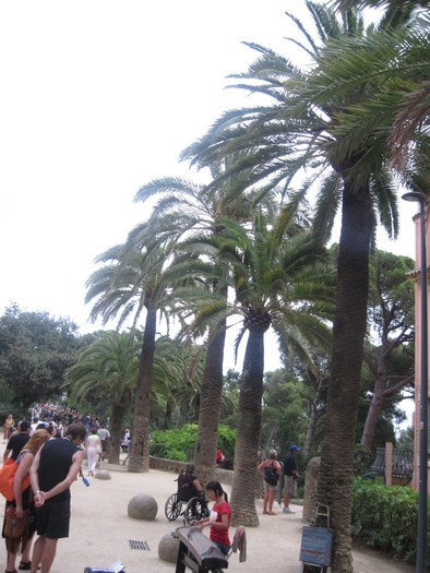 Picture 2151 - Parc Guell