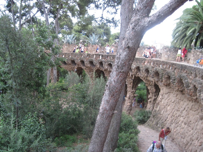 Picture 2156 - Parc Guell