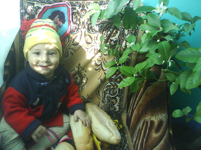 DSC03884 - aaaaaaaa