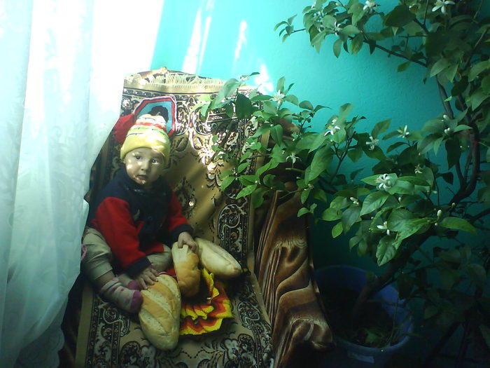 DSC03885 - aaaaaaaa