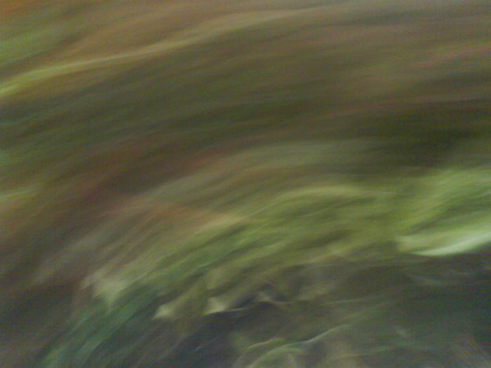 DSC03901 - aaaaaaaa