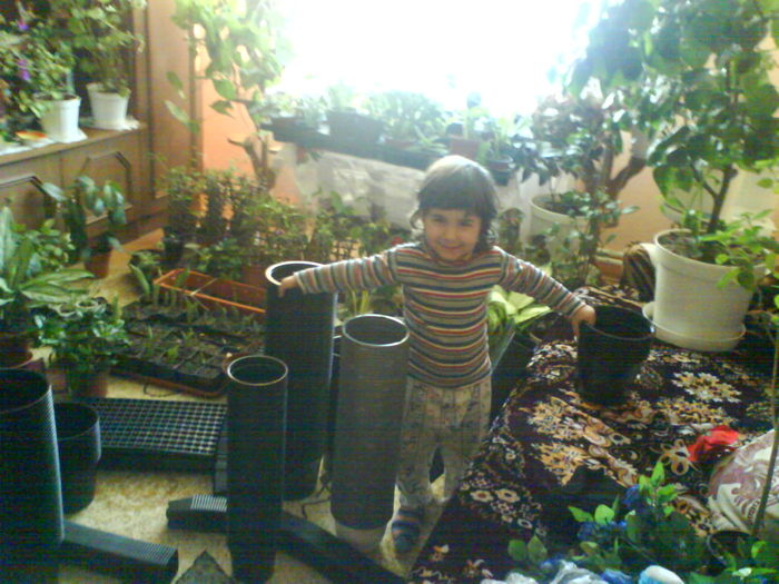 DSC03904 - aaaaaaaa