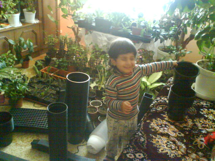 DSC03907 - aaaaaaaa