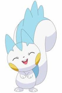 pachirisu - piplup sau pachirisu