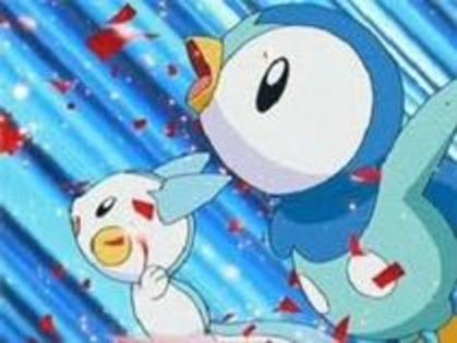 piplup si pachirisu gata de concurs - ce credeti despre piplup si pachirisu