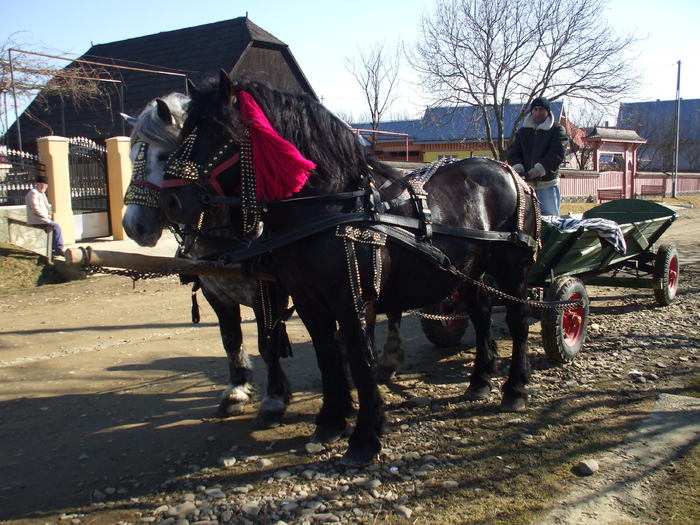 sultan si bandy-09.02.2011 006