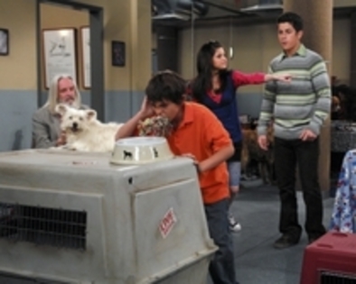 016 - Wizards of Waverly Place Season 1 Episode 8 Curb your Dragon