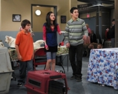 020 - Wizards of Waverly Place Season 1 Episode 8 Curb your Dragon