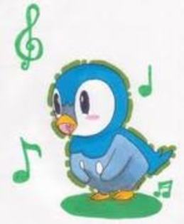 piplup - tema1