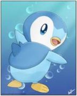 piplup - tema1