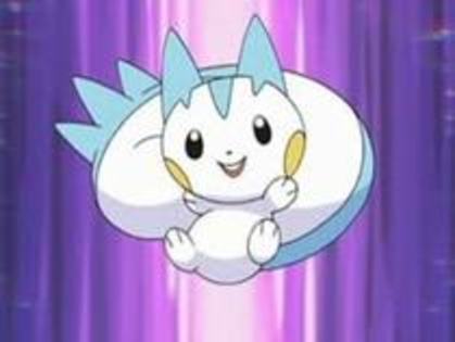 pachirisu fata lvl 147778