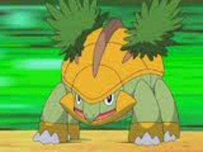 grotle baiat lvl 17999 - pokemonii mariei