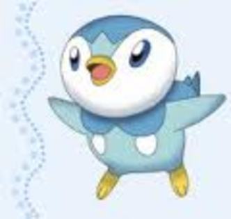 piplup:pi,piplup!!!!(accept!!!) - poveste pokemon cu maria si tina