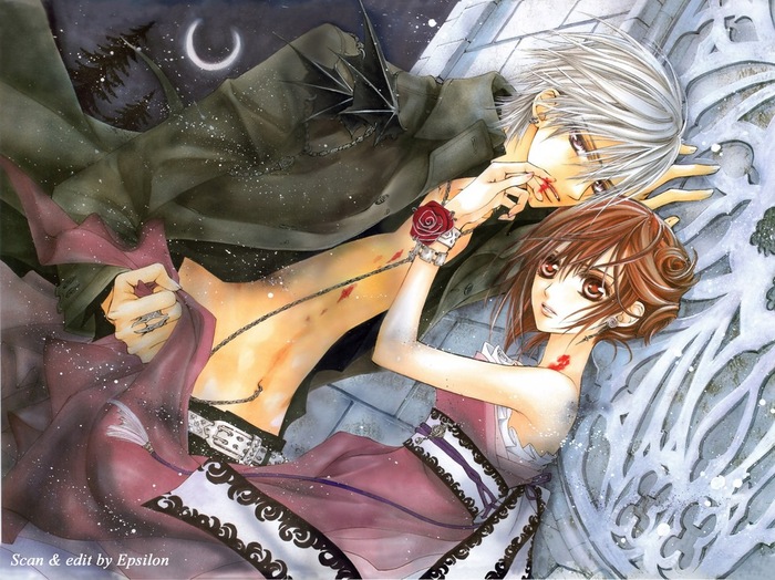 (3) - Vampire Knight