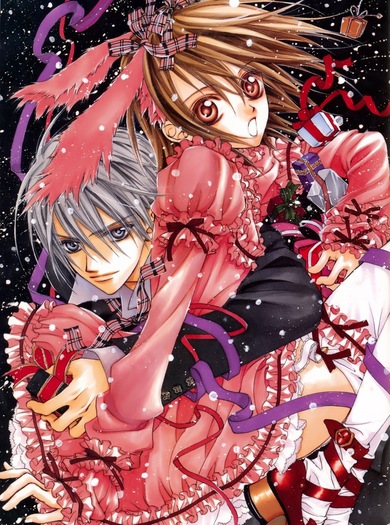 (4) - Vampire Knight