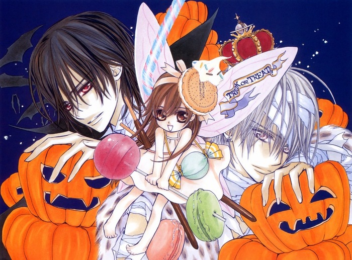 (14) - Vampire Knight