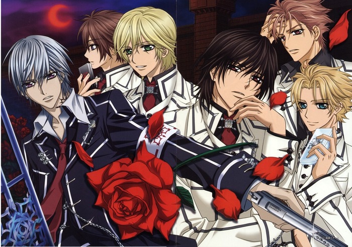   (17) - Vampire Knight