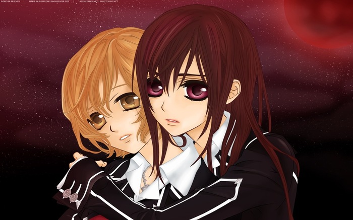   (21) - Vampire Knight