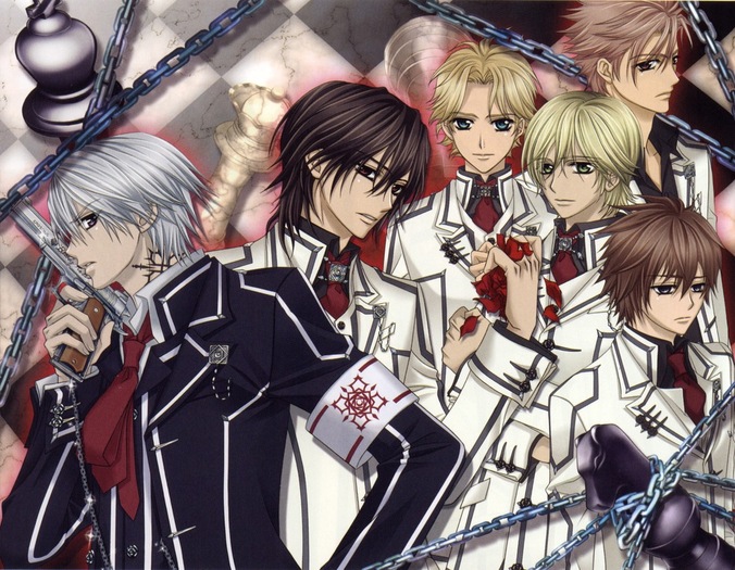   (26) - Vampire Knight