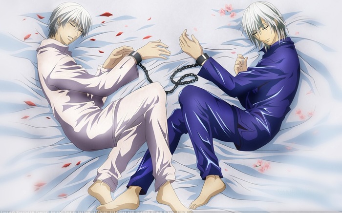   (30) - Vampire Knight