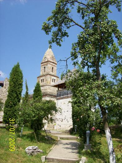 100_8654 - BISERICA DIN DENSUS