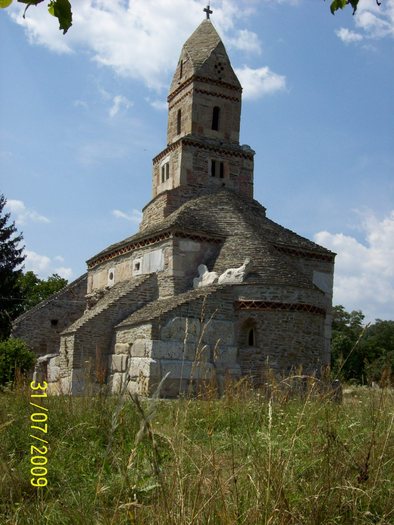 100_8652 - BISERICA DIN DENSUS