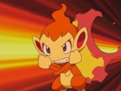 Chimchar - 0 Starterul Pokemon 0