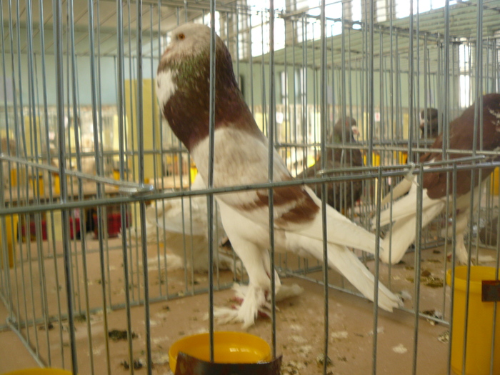 P1070071