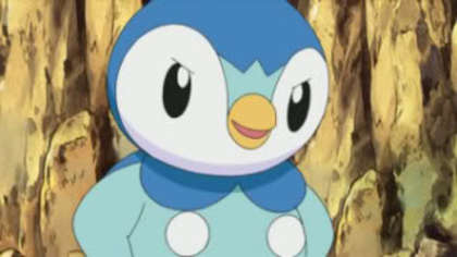 Piplup - 0 Starterul Pokemon 0