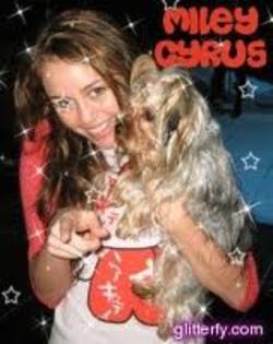 cu cutu - Miley_Poze_Rare